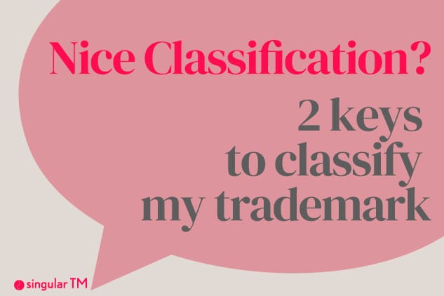 What is the Nice Classification?